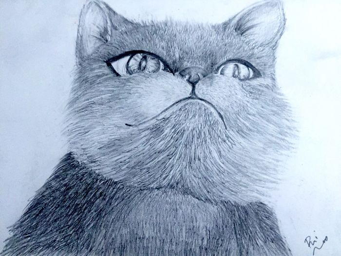 I'm A Self-Taught Artist Who Just Created Her First Sketches