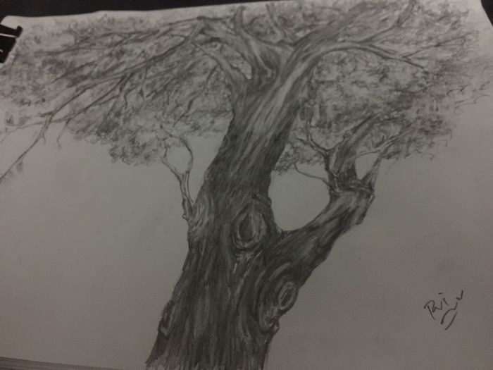 I'm A Self-Taught Artist Who Just Created Her First Sketches