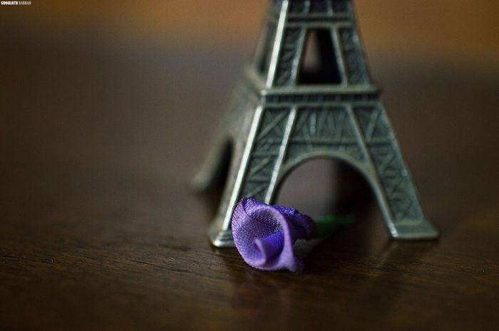 A Little Gesture. May Peace Be In France.