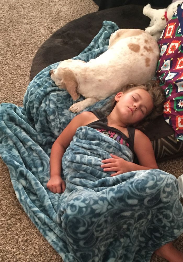 When Your Child Has A Perfectly Good Bed But Prefers To Share With The Dog
