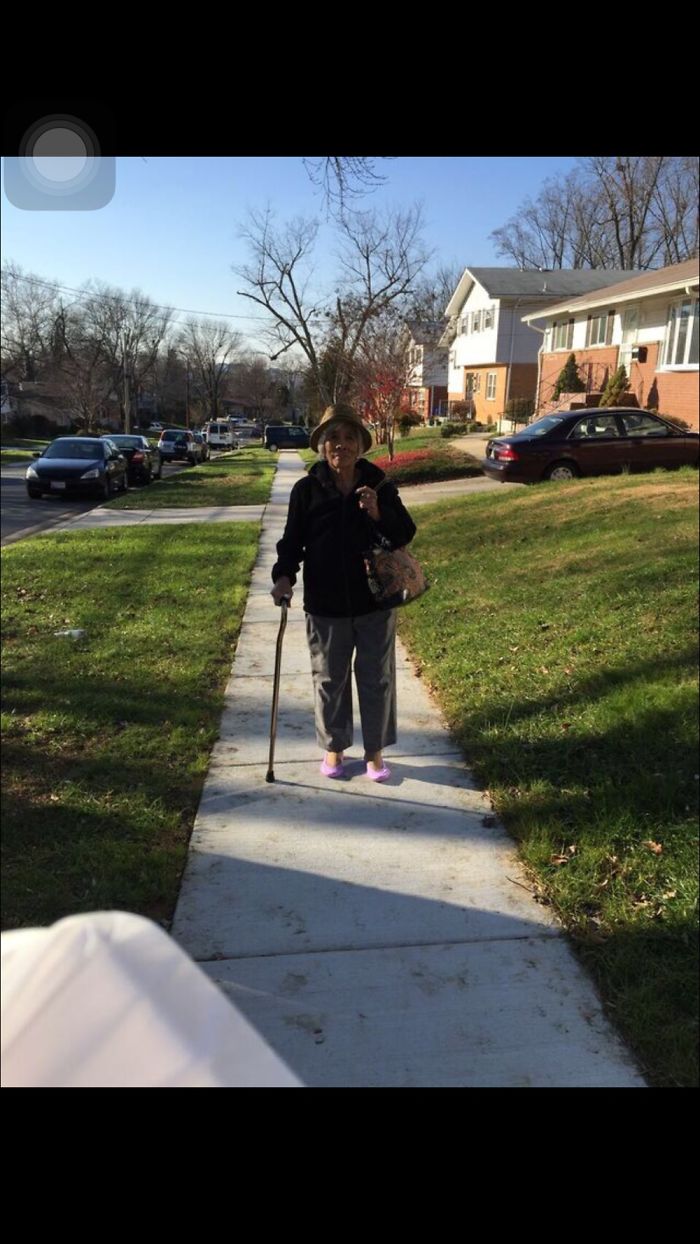 Walking With The Flying Cat