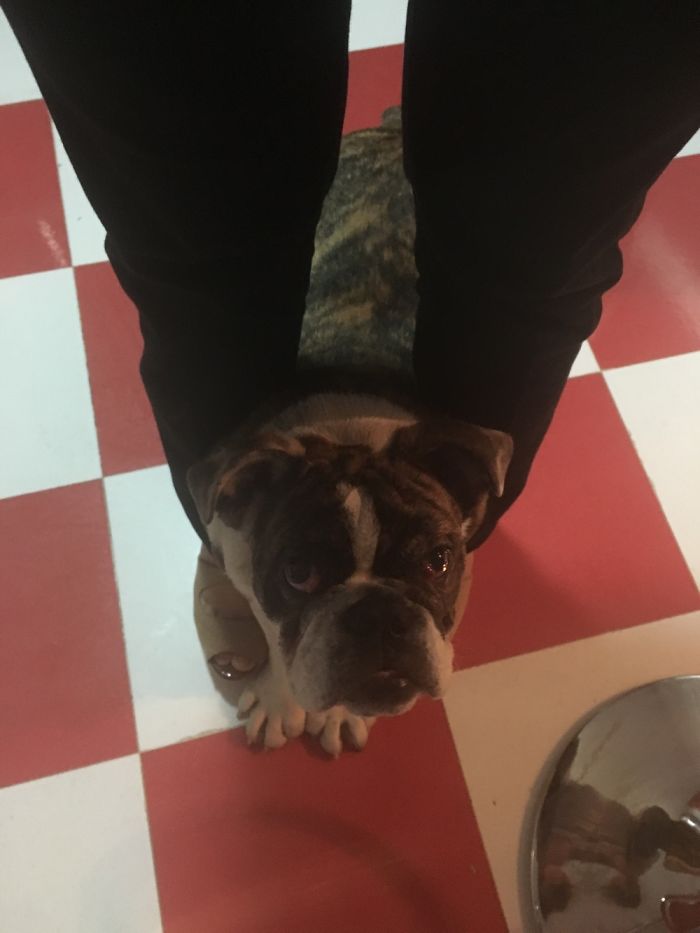 Jack Asking For Forgiveness