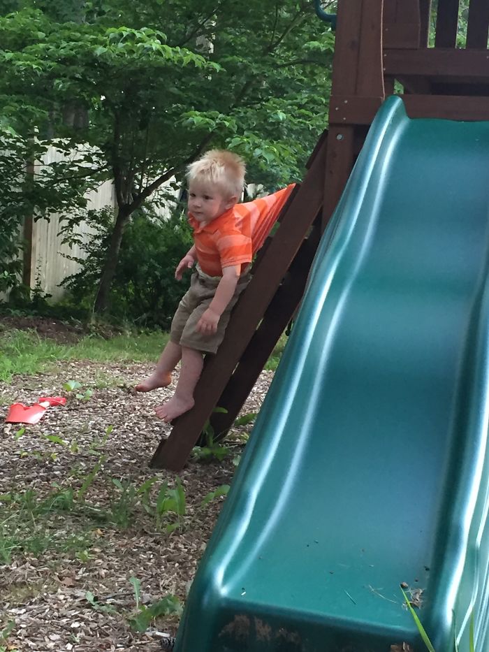 When You Hear Your Toddler Yell For Help And They're Just "hanging Out."