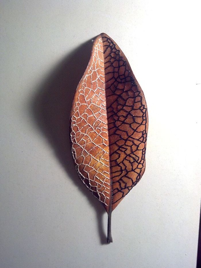 I Embroider Magnolia Leaves I Embroider Magnolia Leaves