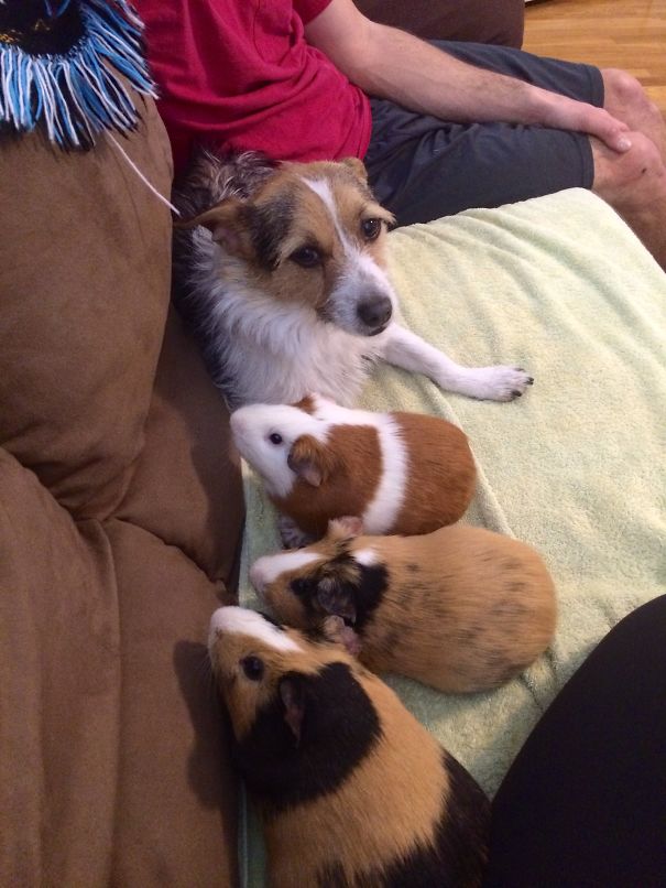 Scooter And The Beeps