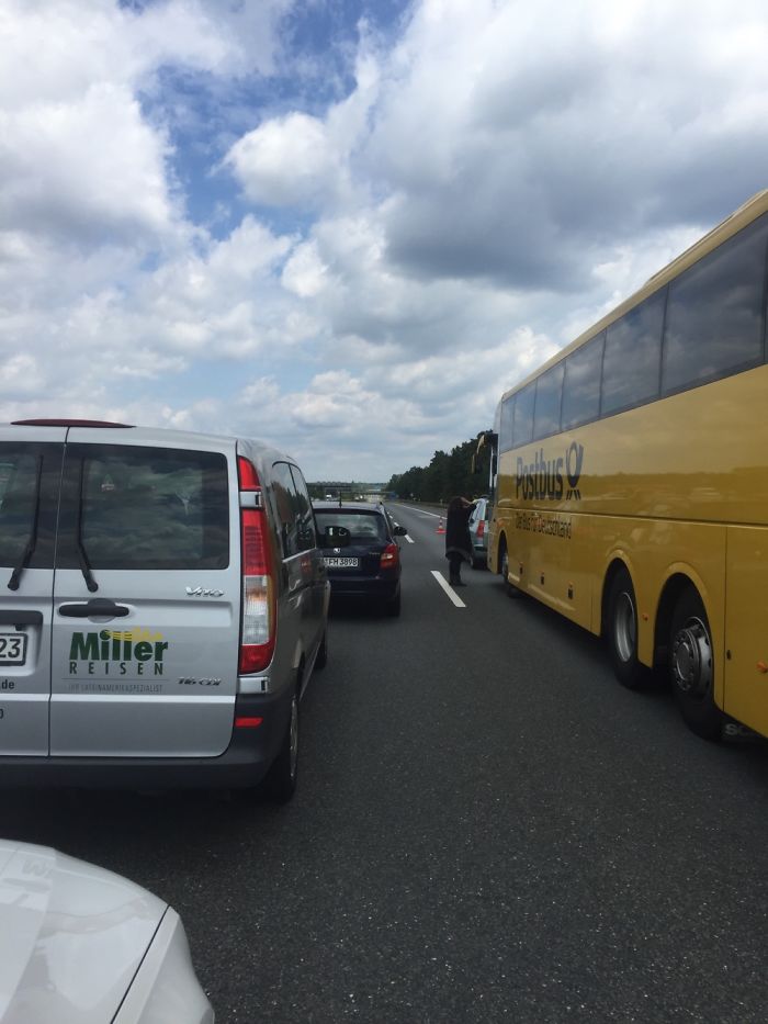 Police Close The Highway In Germany To Rescue A Fawn Who Got Lost.