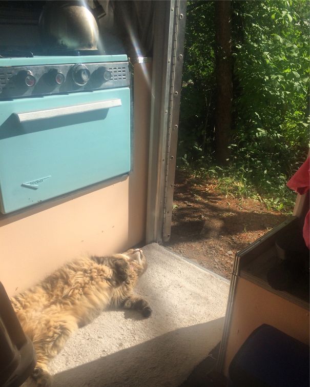 Wicket's Happy Place! @andreavestrand