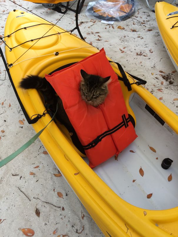 Camping, Kayaking...imdo It All.