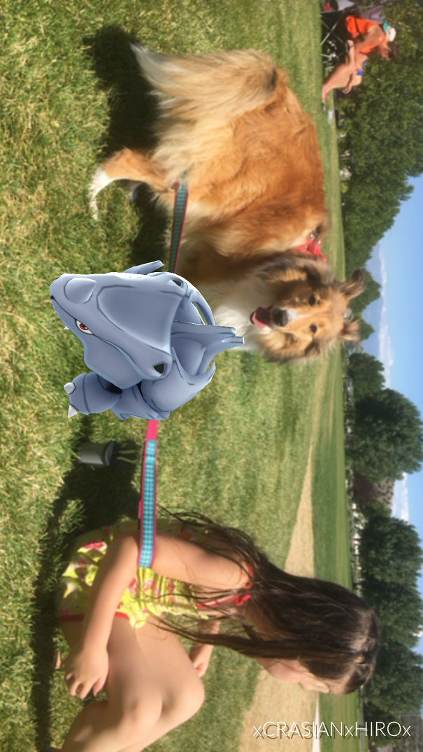 Dog reacting to a Rhydon from Pokémon GO on a sunny park day, suggesting pets can see Pokémon.