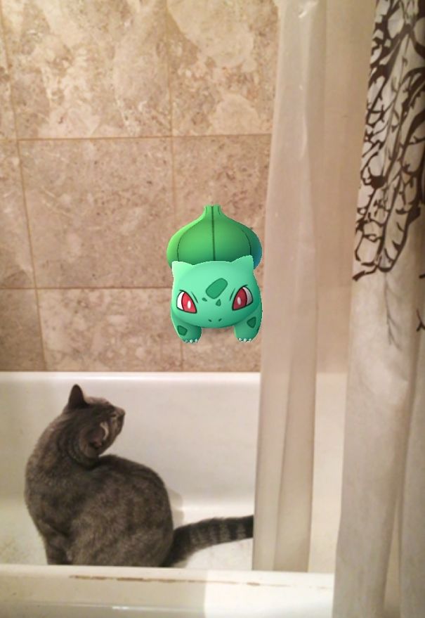 Cat in bathtub with visible Pokémon Bulbasaur, suggesting pets can see Pokémon Go.