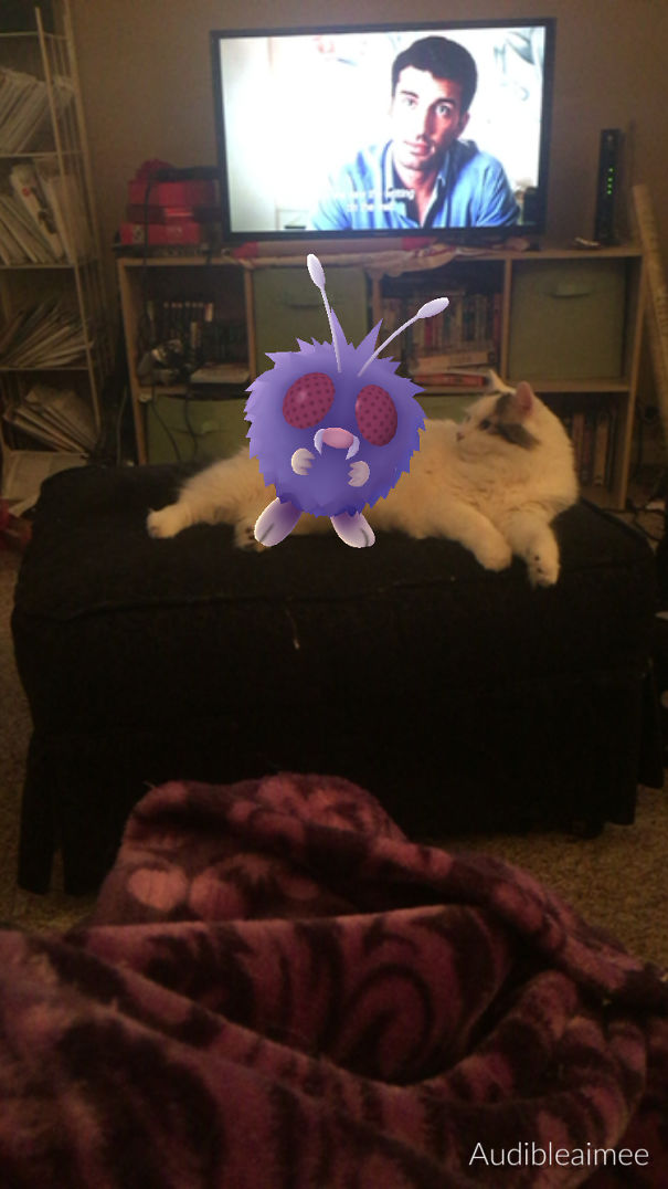 A cat and Venonat from Pokémon Go on a dark ottoman, with a TV in the background.