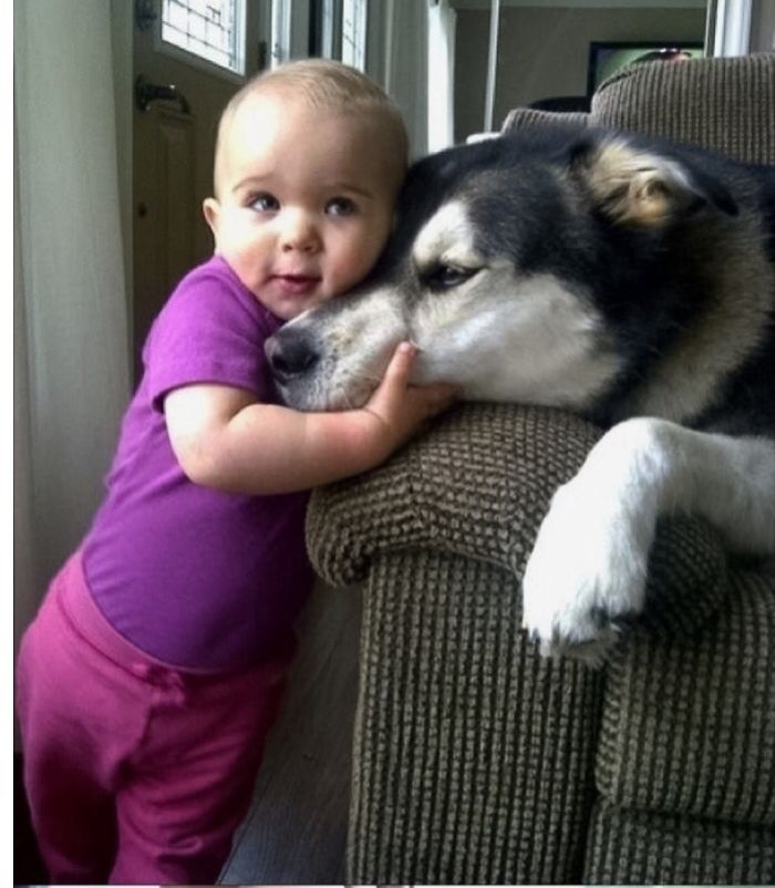 20+ Dogs And Their Adorable Baby Buddies