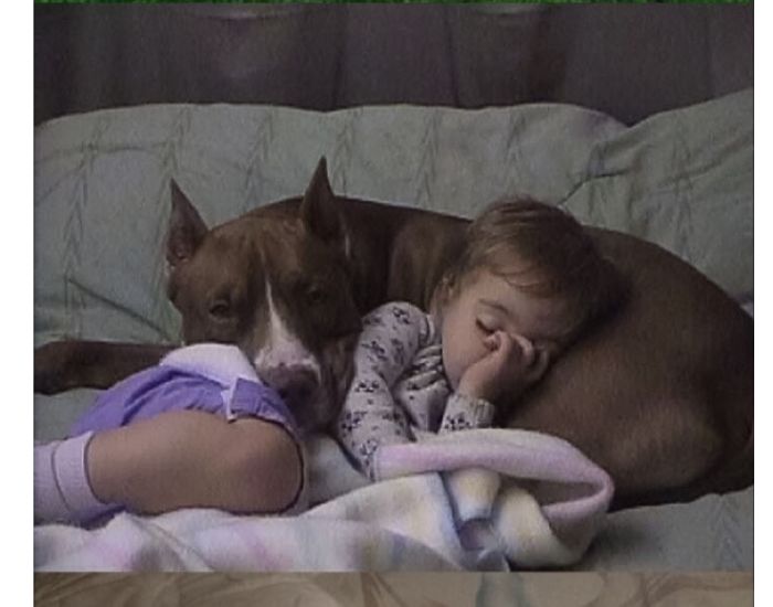 20+ Dogs And Their Adorable Baby Buddies