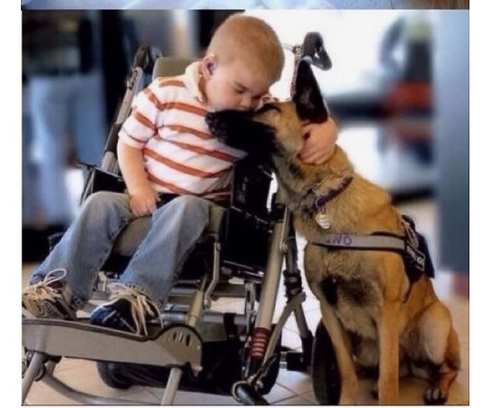 20+ Dogs And Their Adorable Baby Buddies