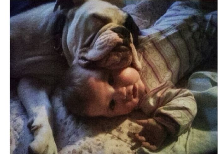 20+ Dogs And Their Adorable Baby Buddies