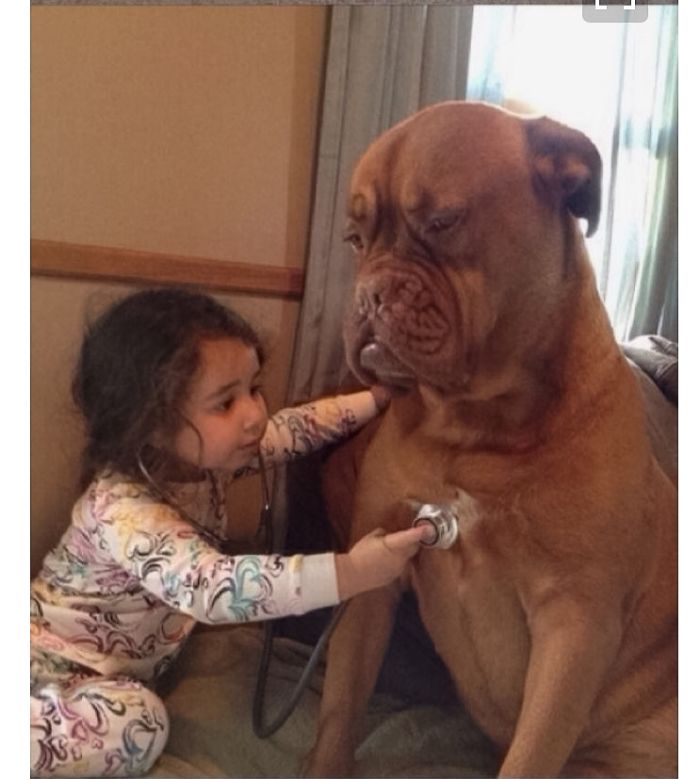 20+ Dogs And Their Adorable Baby Buddies