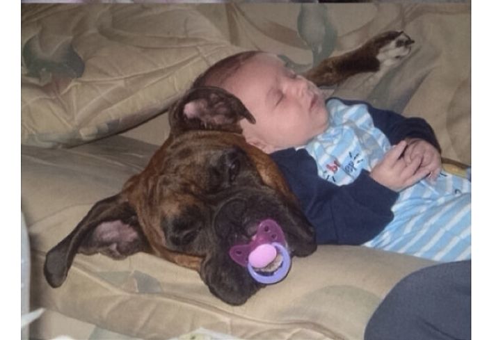 20+ Dogs And Their Adorable Baby Buddies