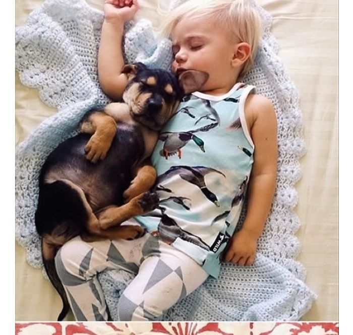 20+ Dogs And Their Adorable Baby Buddies