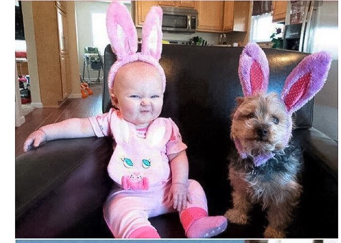 20+ Dogs And Their Adorable Baby Buddies