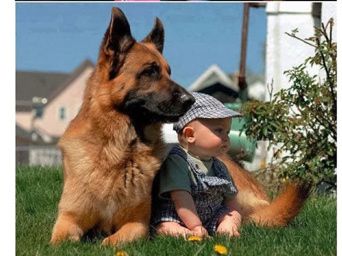 20+ Dogs And Their Adorable Baby Buddies