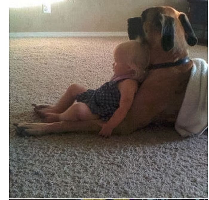 20+ Dogs And Their Adorable Baby Buddies