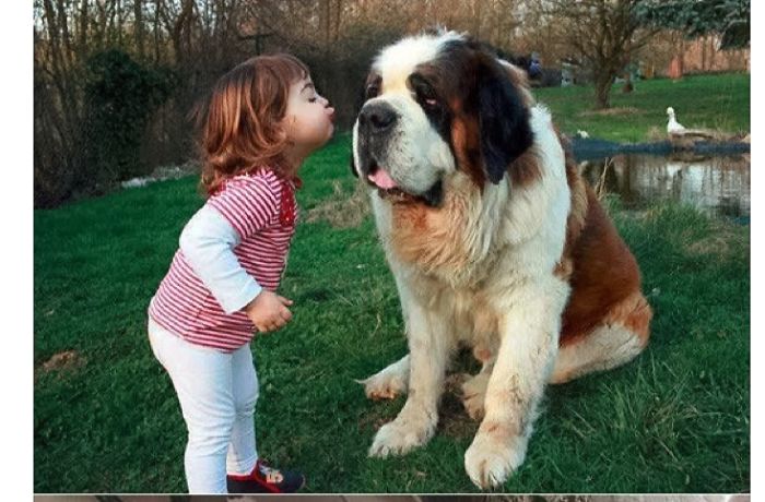 20+ Dogs And Their Adorable Baby Buddies