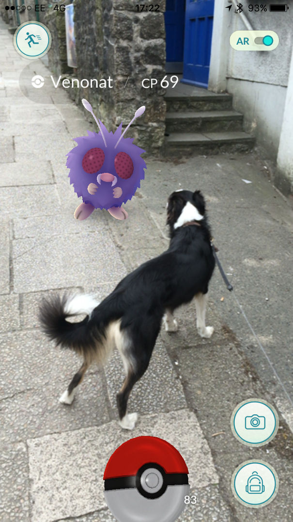 Dog reacting to a Venonat in Pokémon Go, suggesting pets might perceive Pokémon.