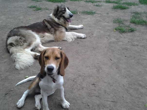 Keep Talking, I Don't Care!