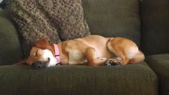 First Day After Adoption