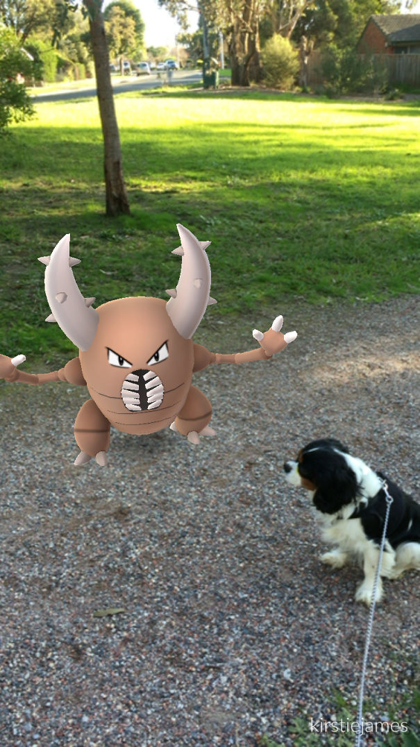 A dog on a leash seems to notice a Pinsir Pokémon in a park, highlighting pets' interaction with Pokémon Go.