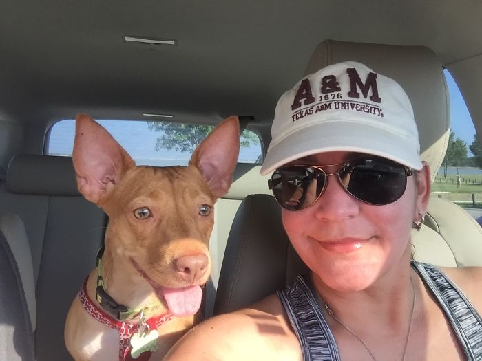 This Is Our Lola! My Sister & I Adopted Her Back In January. She Is All Love & Kisses!