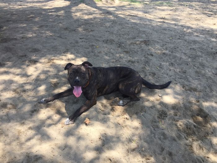 My Sweet Babygirl...adopted Off The Streets