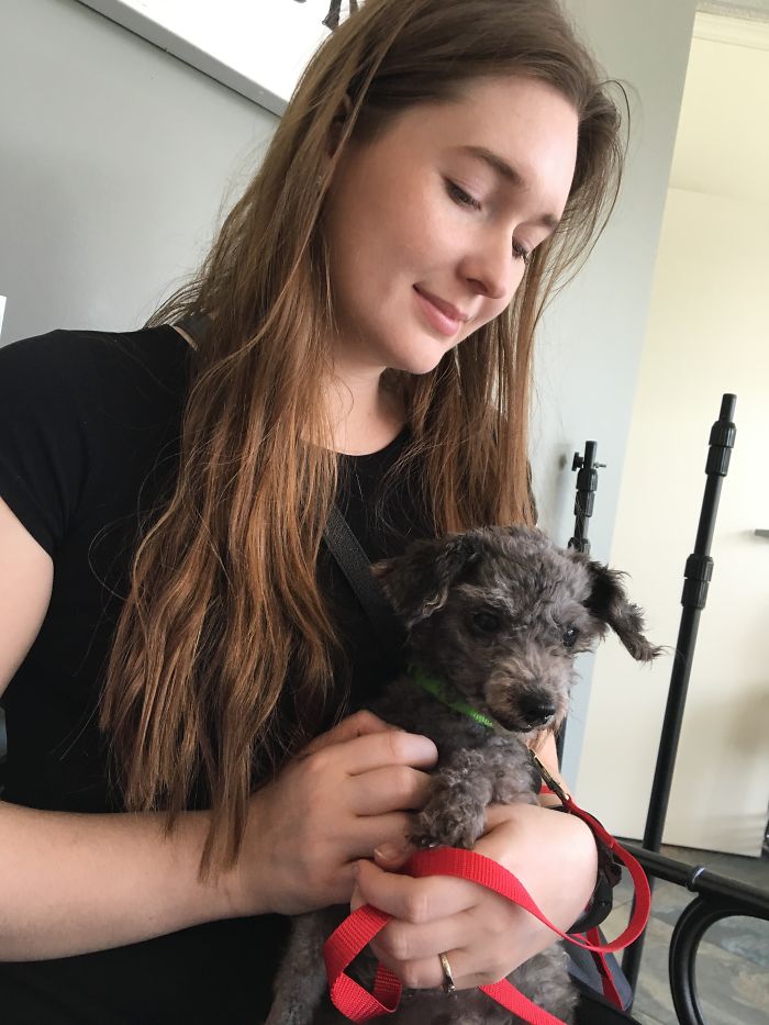 10 Years Old And The First Day Home!@zizou_the_weredog On Instagram