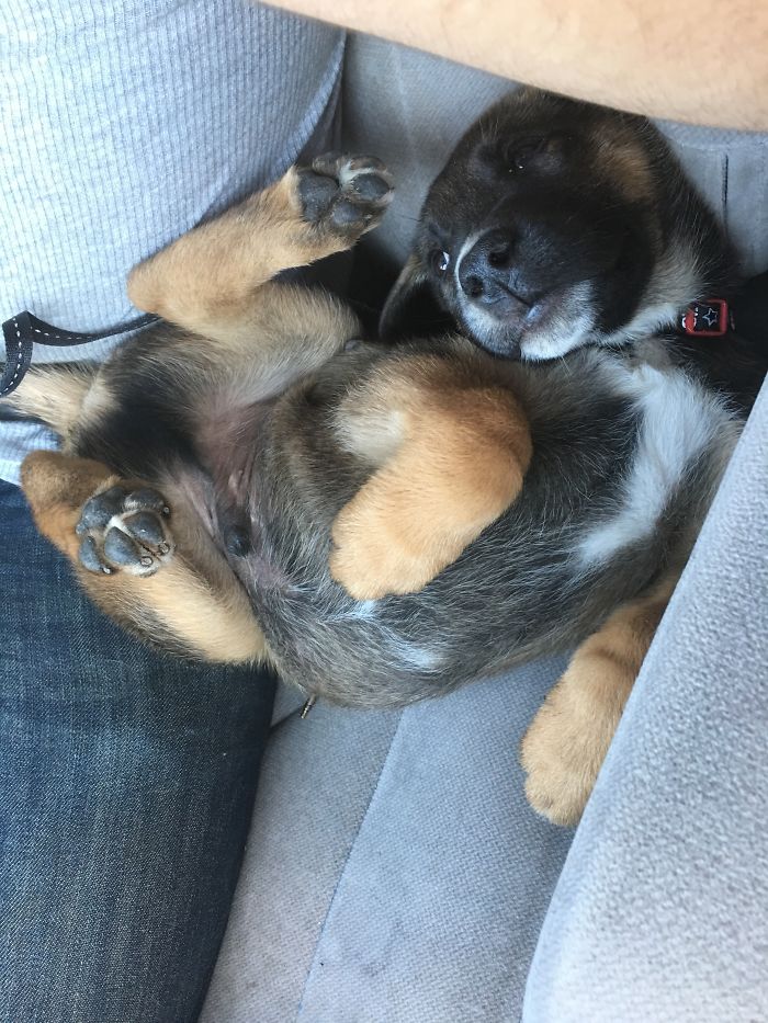 My Little Man Cisco On His First Car Ride Home