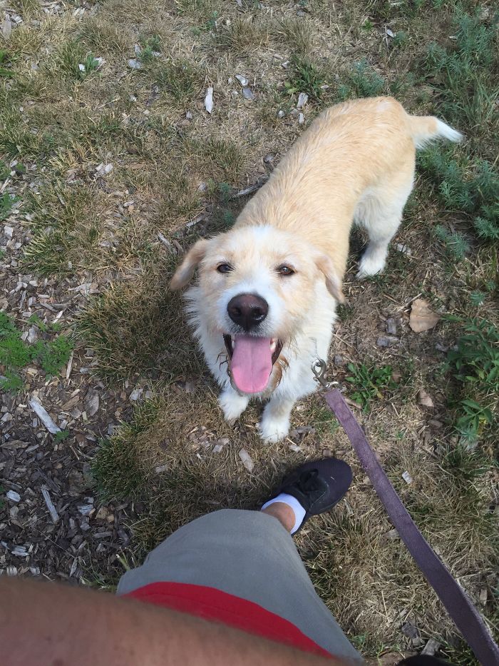 How Could I Not Bring Her Home?