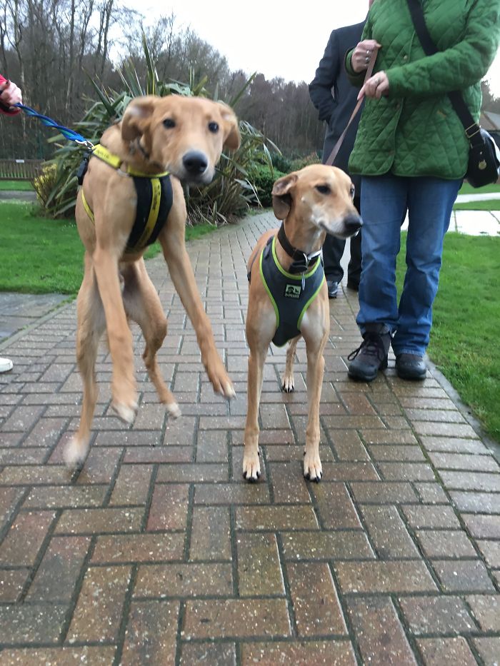 Solo's First Day (plus Ted!)