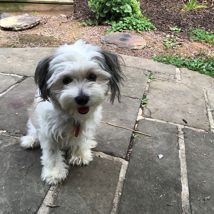 First Day With Our Sweet Boy, Roger.