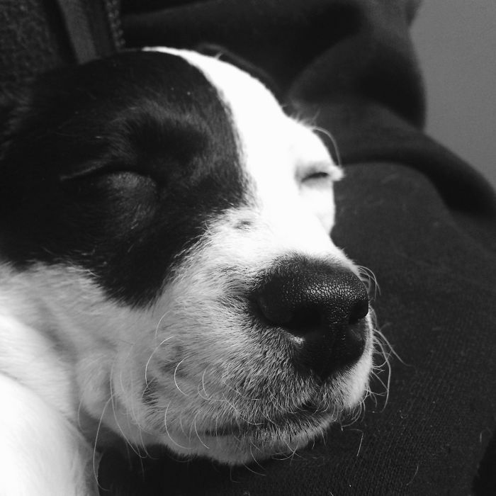 Amelia Just Got Home And Had Her First Bath Ever!