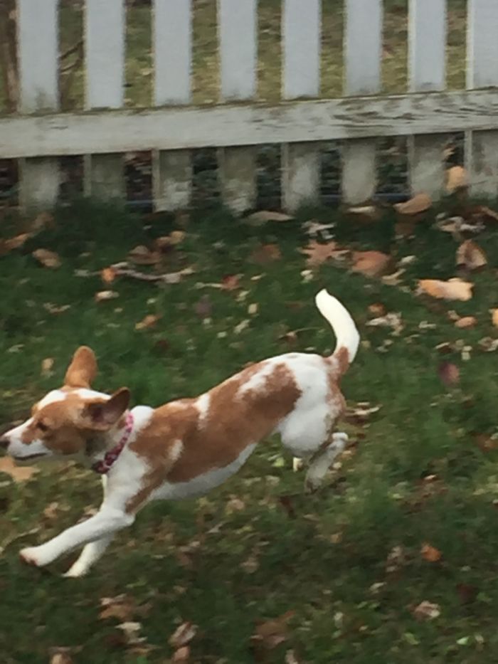 This Yard Is All Mine, Really???