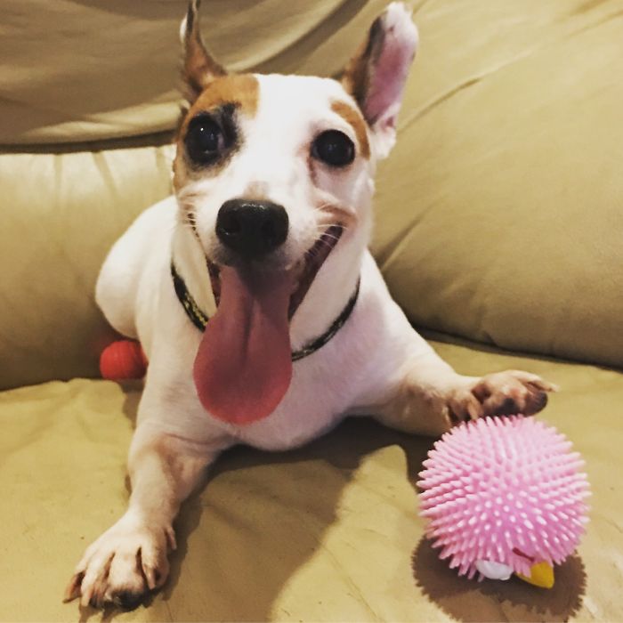 It's Has Been Almost 3 Months Since We Adopted This Gal..