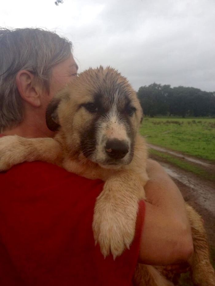 Love On A Wet Day....