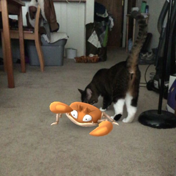 Cat interacting with a virtual Pokémon in a living room setting, showcasing pets seeing Pokémon Go characters.