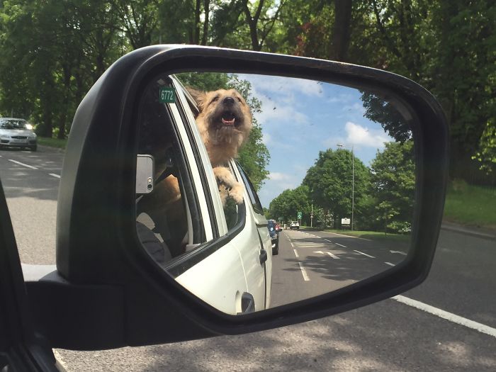 Grumble Leaving The Foster Home 2 Months Ago