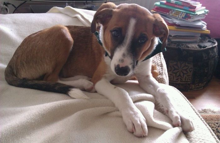 First Day At Home After My Journey From Spain To Germany