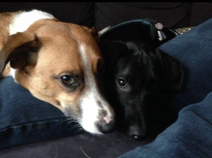 Wellcome Little Black Sister From Mallorca