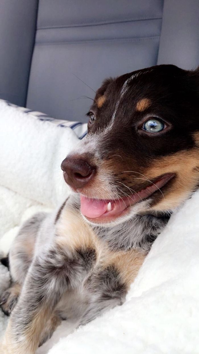 Car Trip Home After Being Rescued