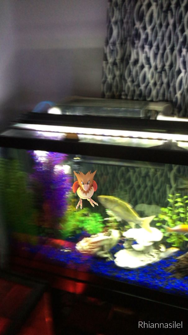 Pokemon Go character floating above a fish tank with colorful plants in the background.