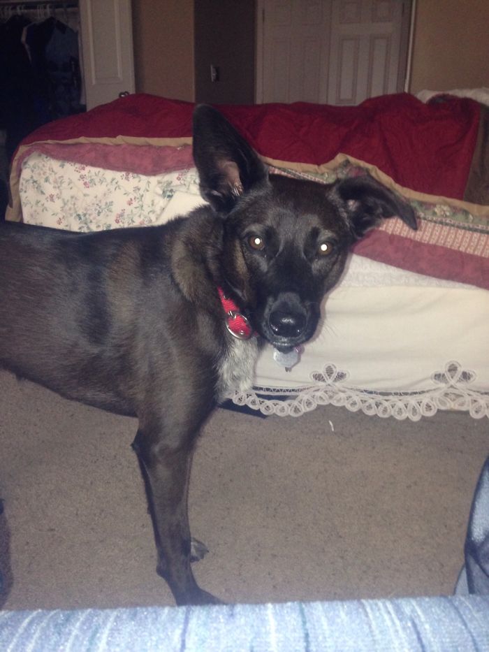 My Little Orphan Annie