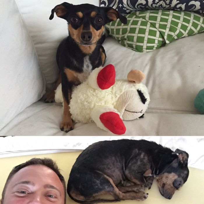 She Adopted Us Showing Up Three Days In A Row To Have Some Bacon And Donut Breakfast :).