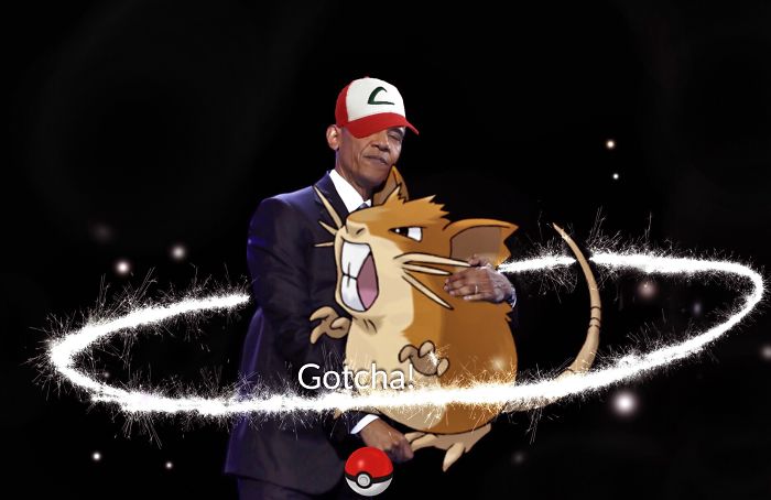 Gotta Catch 'em All.